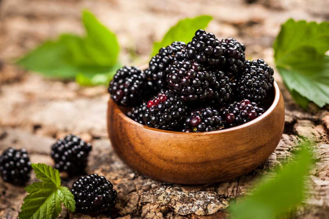 Blackberries: Tiny Fruit Immune Boost with Zinc