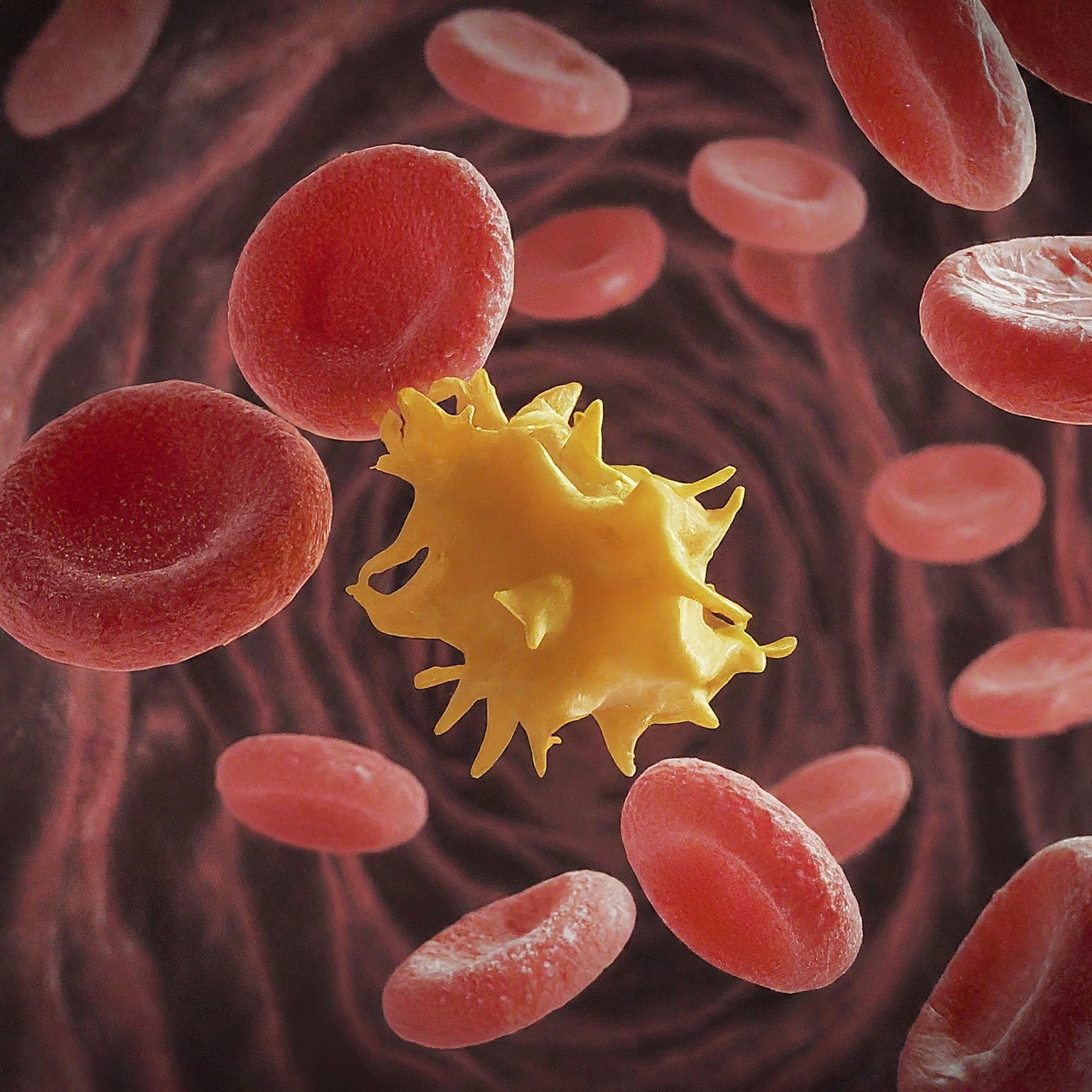 What food items should be taken to increase platelets count in blood?